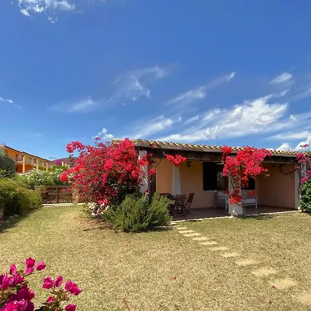 Lejlighed Casa Boeri - Vista Mare Con Piscina E Giardino Abba Urci *